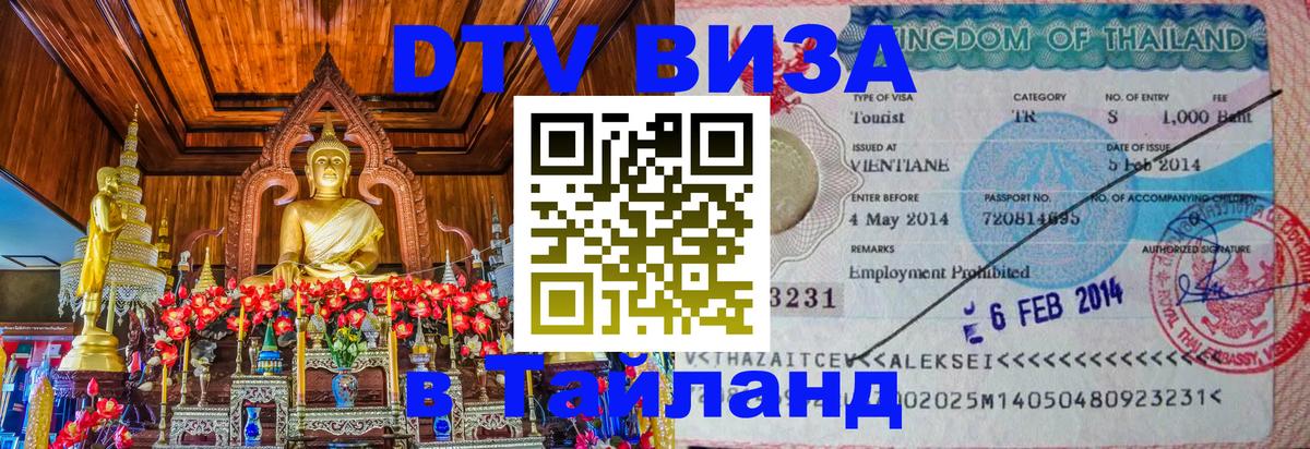 Сколько стоит DTV виза — актуальные цены, оформление даже без документов - Саранск 